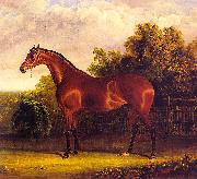 John F Herring Negotiator, the Bay Horse in a Landscape oil on canvas